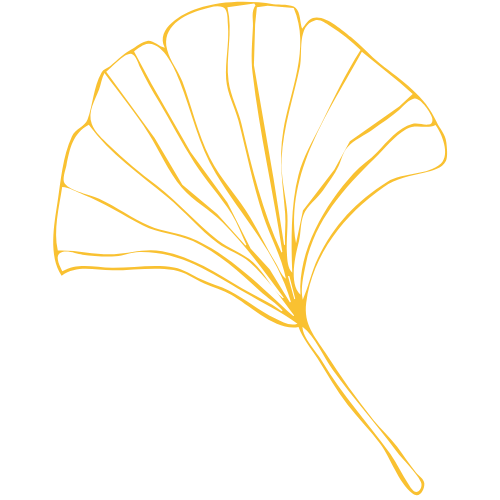 Feuille de ginko jaune